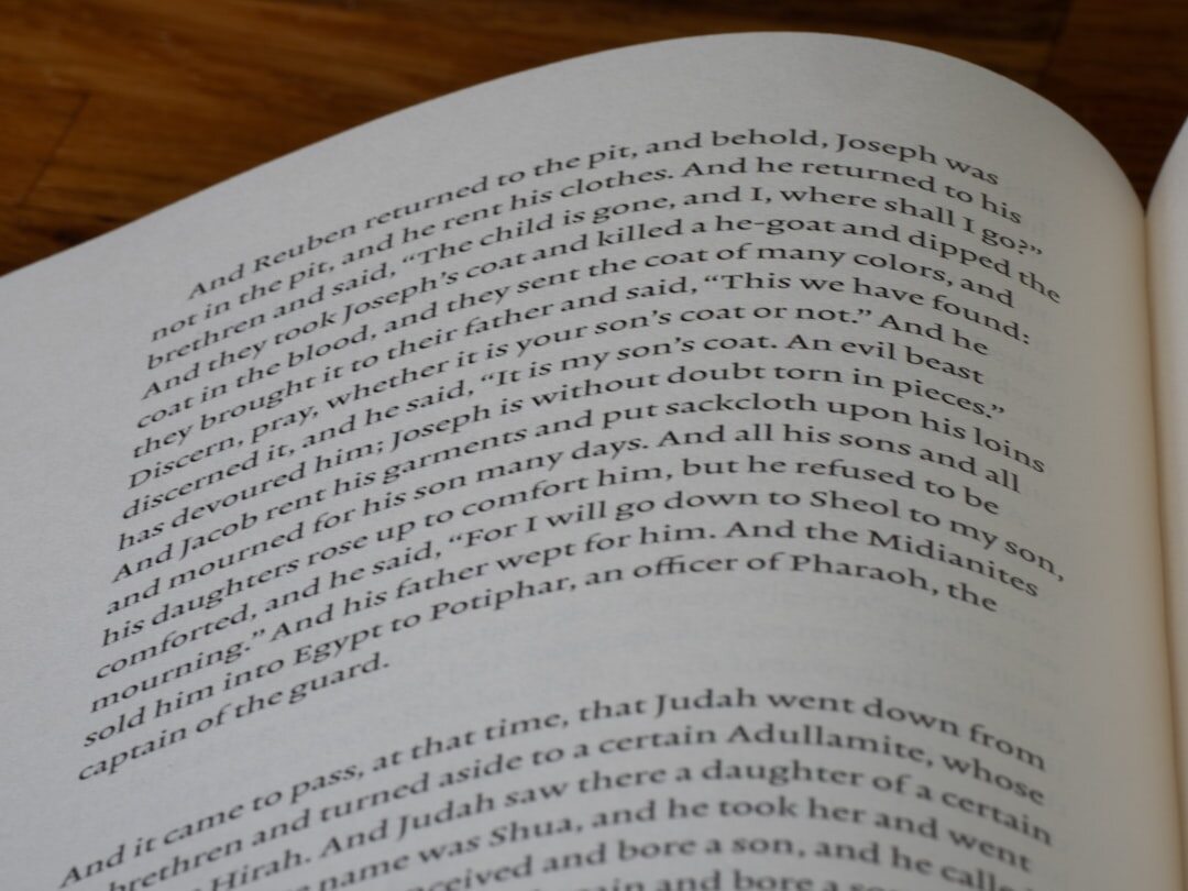 twisted plot book